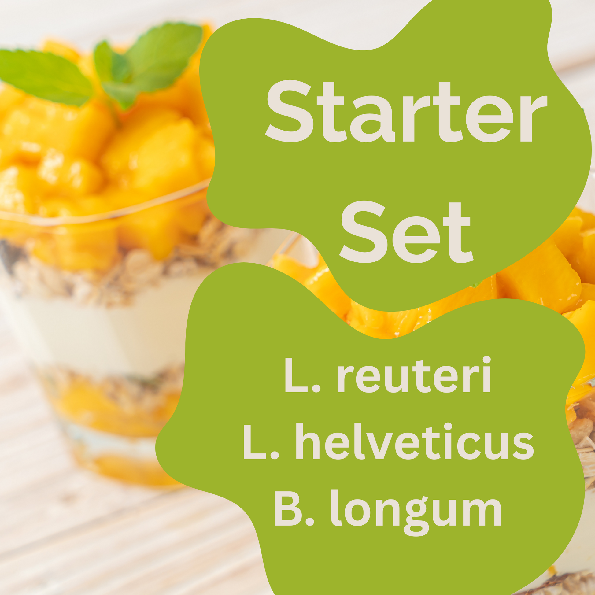 Starter Set "Calm Gut" | L. reuteri, L. helveticus, B. longum Yogurt