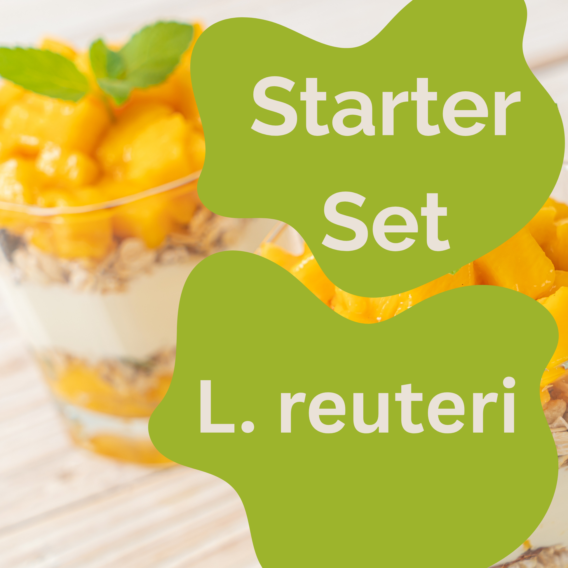 Starter Set L. Reuteri Yogurt