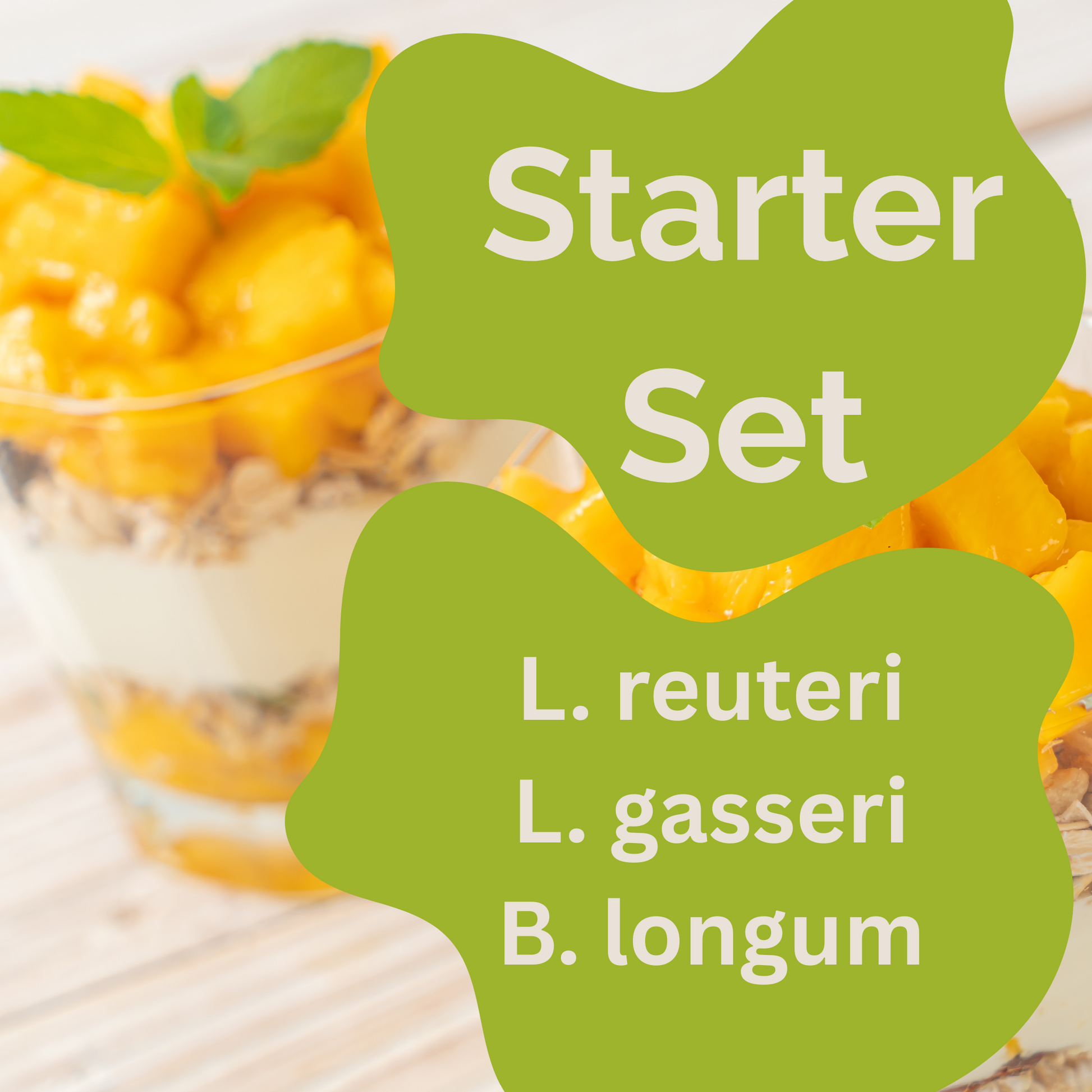 Starter Set "Slim Gut" | L. reuteri, L. gasseri, B. longum Yogurt