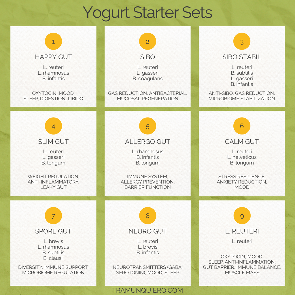 Starter Set "Calm Gut" | L. reuteri, L. helveticus, B. longum Yogurt